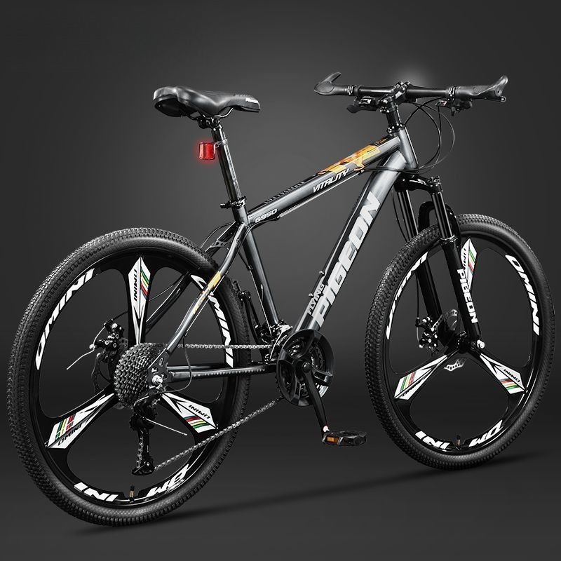 Mountainbike Unisex Leichtgewi – Commuter Biking Bewertung und Preis