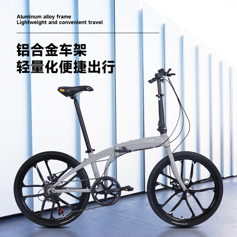 24-Zoll Aluminiumlegierung Tra – Commuter Biking Bewertung und Preis
