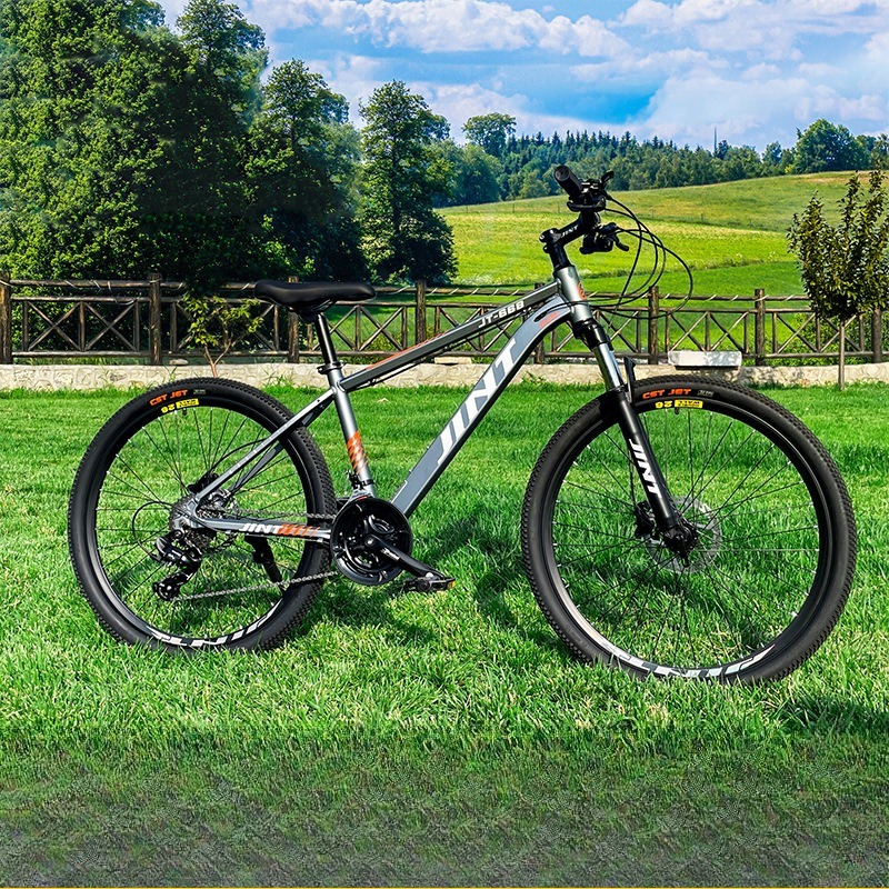 Großhandel Aluminiumlegierung  – Commuter Biking Bewertung und Preis